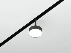 ml-08-01-4