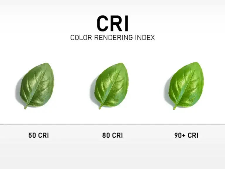 cri24